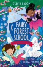 Fairy Forest School The Snowflake Charm
