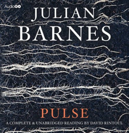 Pulse UA 6/415 by Julian Barnes