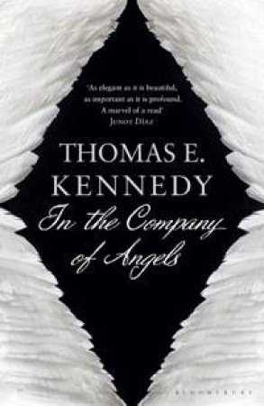 In the Company of Angels by Thomas E Kennedy