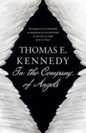 In the Company of Angels by Thomas E. Kennedy