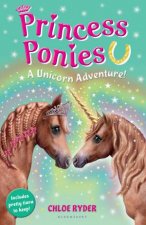 A Unicorn Adventure