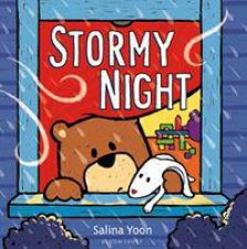 Stormy Night