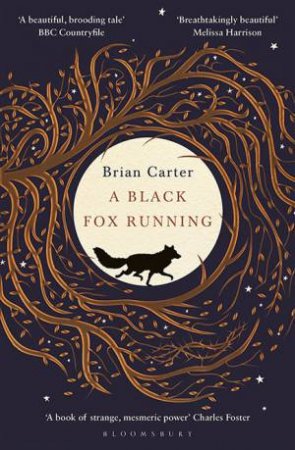 A Black Fox Running by Brian Carter