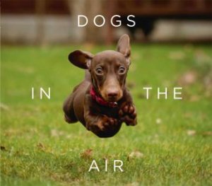 Dogs In The Air by Jack Bradley