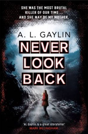 Never Look Back by A.L. Gaylin