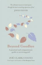 Beyond Goodbye