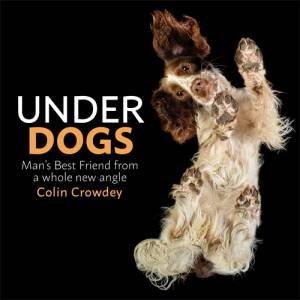 Underdogs by Colin Crowdey