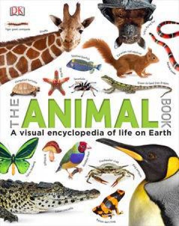 The Animal Book by Kindersley Dorling