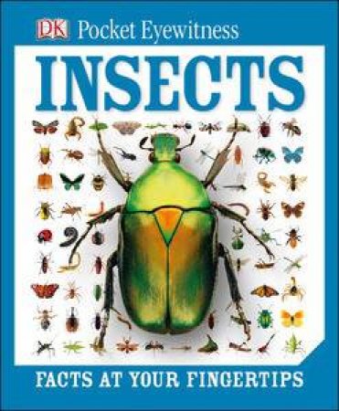 DK Pocket Eyewitness: Insects by Kindersley Dorling