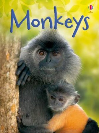Beginners: Monkeys by Lucy Bowman