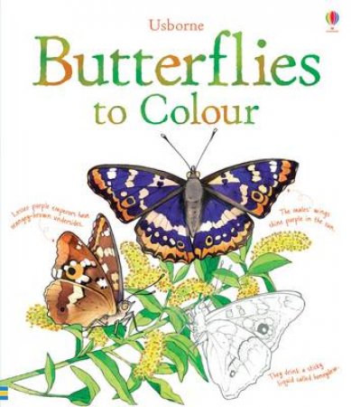 Butterflies Colouring Book by Megan Cullis