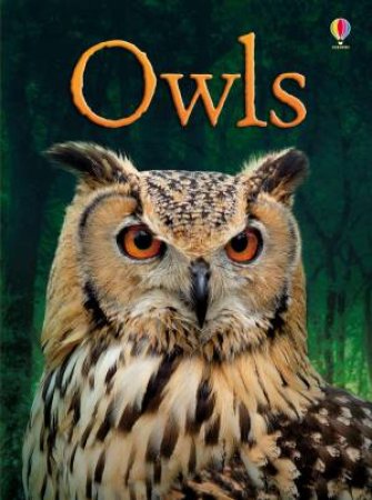 Owls by Emily Bone