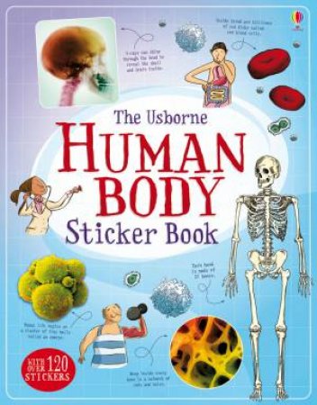 Human Body Sticker Book by Alex Frith