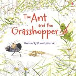 The Ant and the Grasshopper