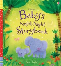 Babys NightNight Storybook