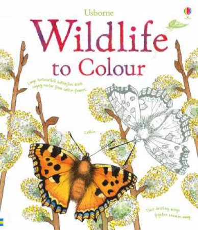 Wildlife to Colour by Susan Meredith