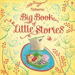 Big Book of Little Stories