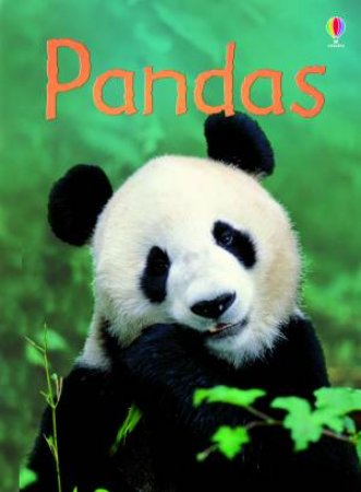 Pandas by James Maclaine