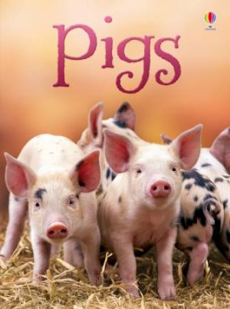 Pigs by James Maclaine & Jeremy Norton