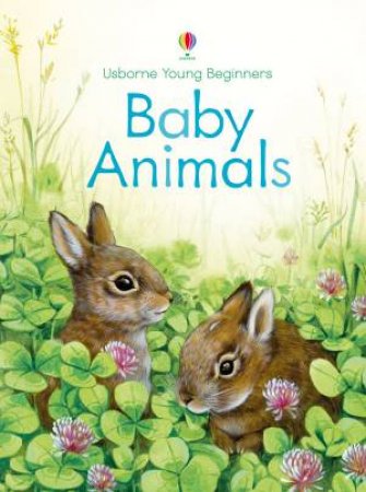 Young Beginners: Baby Animals by Emily Bone