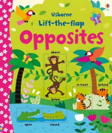 Lift-the-flap Opposites by Felicity Brooks