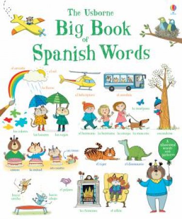 Big Book of Spanish Words by Mairi Mckinnon
