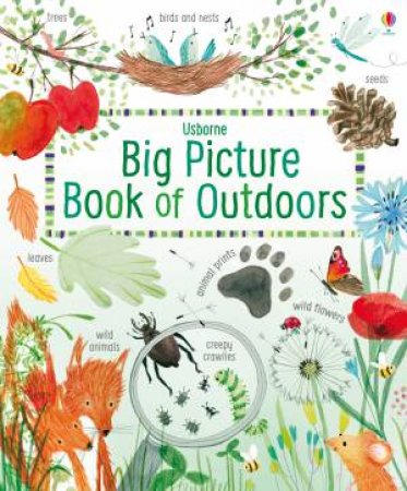 Big Picture Book Of Outdoors by Minna Lacey & John Russell & Rachel Stubbs