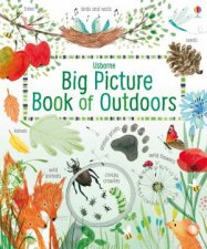 Big Picture Book Of Outdoors