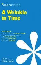 SparkNotes Literature Guide A Wrinkle In Time