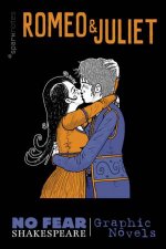 Romeo And Juliet No Fear Shakespeare Graphic Novels