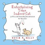 Entertaining Your Indoor Cat