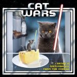 Cat Wars