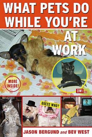 What Pets Do While You're At Work by Jason/West, Bev Bergund