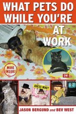 What Pets Do While Youre At Work