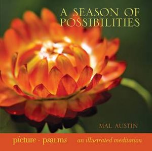 A Season Of Possibilities by Mal Austin