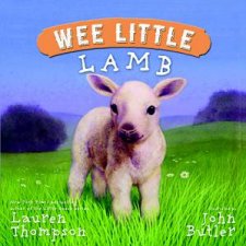 Wee Little Lamb