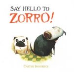 Say Hello to Zorro