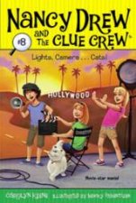 Lights Camera Cats