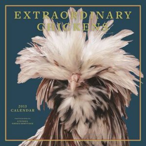 Extraordinary Chickens 2013 Wall Calendar by Stephen Green-Armytage