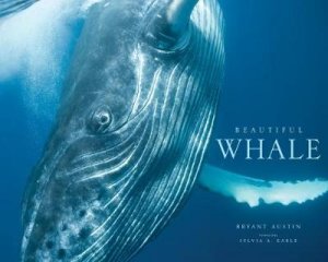 Beautiful Whale by Bryant Austin & Sylvia A. Earle