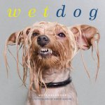 Wet Dog 2016 Wall Calendar
