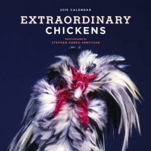 Extraordinary Chickens 2016 Wall Calendar by Stephen Green-Armytage