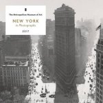 New York in Photographs 2017 Mini Wall Calendar