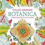 Color Origami Botanica