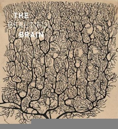 Beautiful Brain: The Drawings of Ramon y Cajal