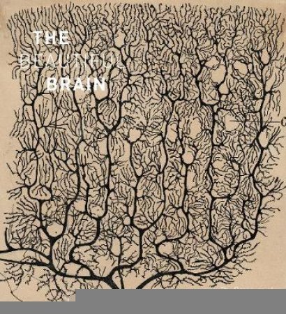 Beautiful Brain: The Drawings of Ramon y Cajal by Javier DeFelipe