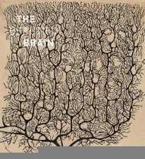 Beautiful Brain The Drawings of Ramon y Cajal