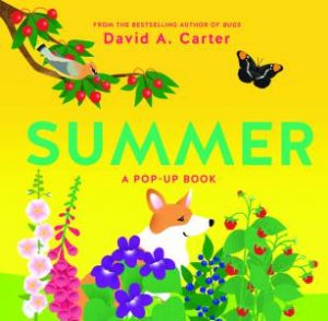 Summer: A Pop-Up Book by David A Carter