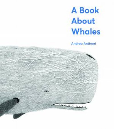 A Book About Whales by Andrea Antinori