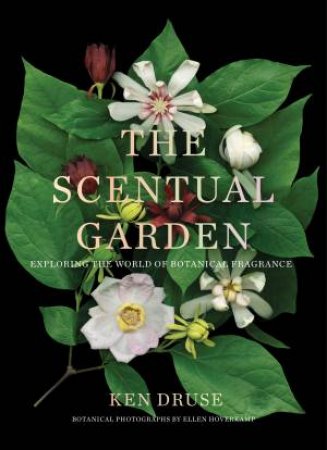 The Scentual Garden by Ken Druse & Ellen Hoverkamp & Ellen Hoverkamp